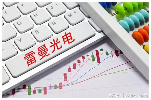 雷曼光電 光電產業的璀璨明星,未來發展潛力無限