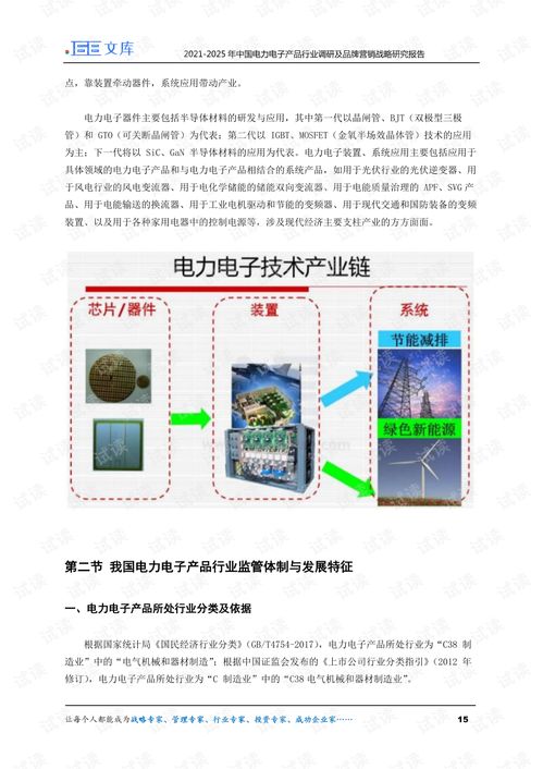 2021 2025年中國電力電子產品行業調研及品牌營銷戰略研究報告.pdf