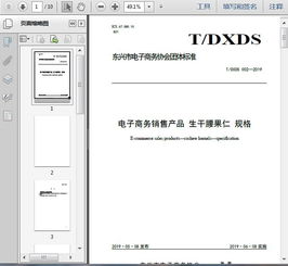 t dxds 002 2019電子商務銷售產品 生干腰果仁 規(guī)格10頁