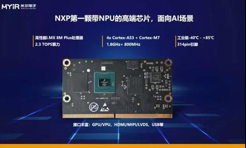 震撼上市,米爾電子高端產(chǎn)品myc jx8mpq核心板及開(kāi)發(fā)板開(kāi)啟預(yù)售